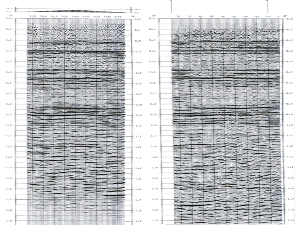 Legacy seismic section exhibit