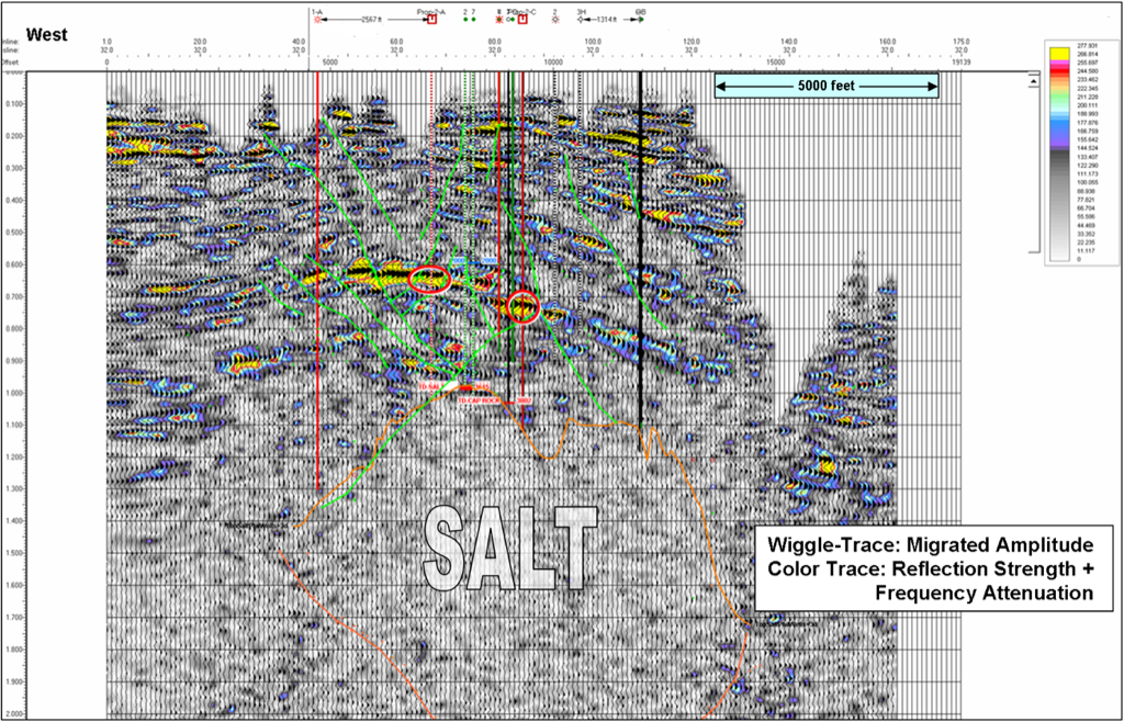 Salt-dome seismic exhibit